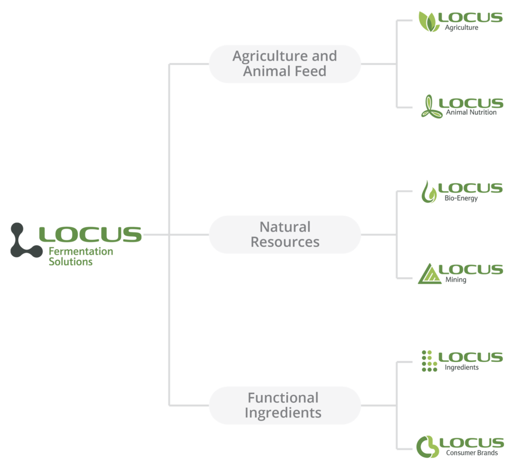 Locus Fermentation Solution Divisions