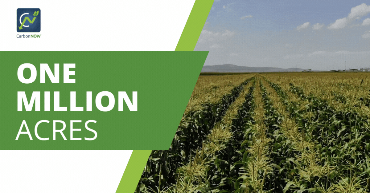 CarbonNOW® Agricultural Carbon Farming Program to Expand by an Additional One Million Acres