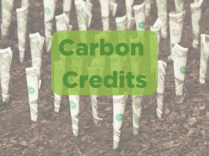 GreenBiz Verge 22 Carbon Credits