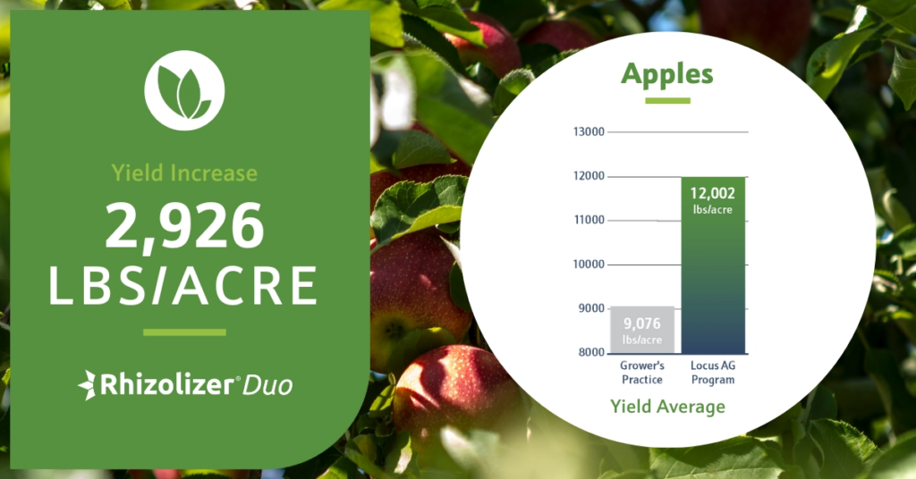 apple farmers yield increase in apple orchards with biologicals
