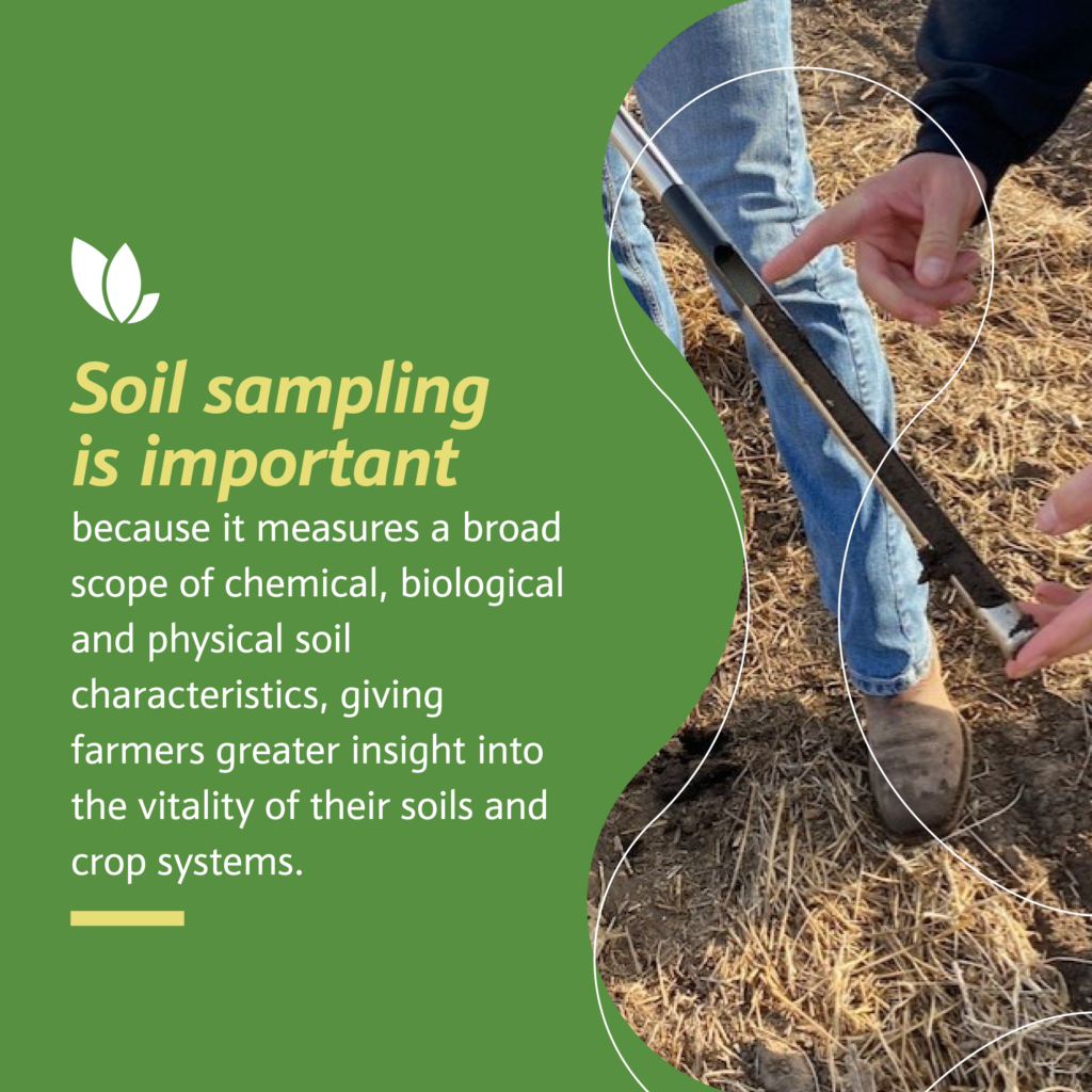 Soil Sampling: Understanding its Importance & Methods | Locus ...
